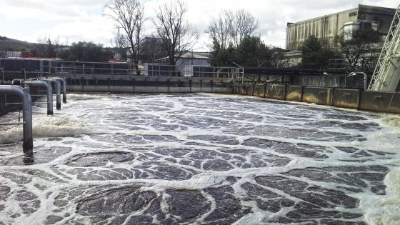 Depuración de aguas residuales de vinos y alcoholes en bodegas