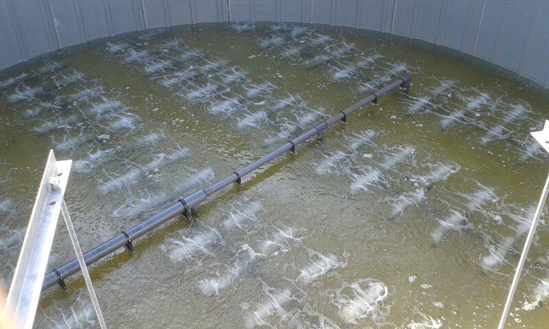 EDAR depuración de aguas en industria quesera