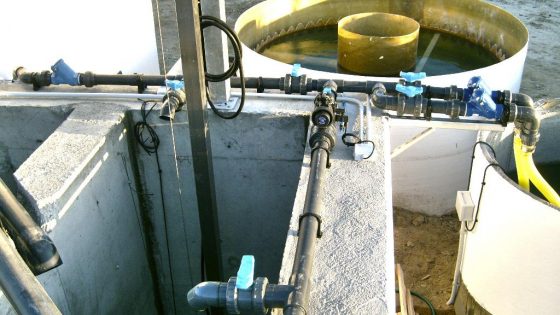 Depuración de aguas residuales de vinos y alcoholes en bodegas