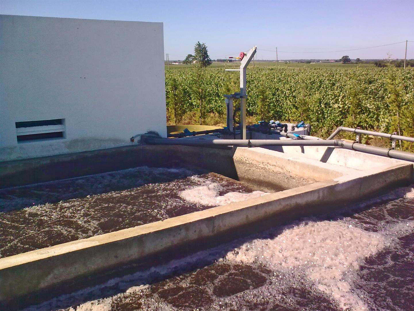 Depuración de aguas residuales de vinos y alcoholes en bodegas