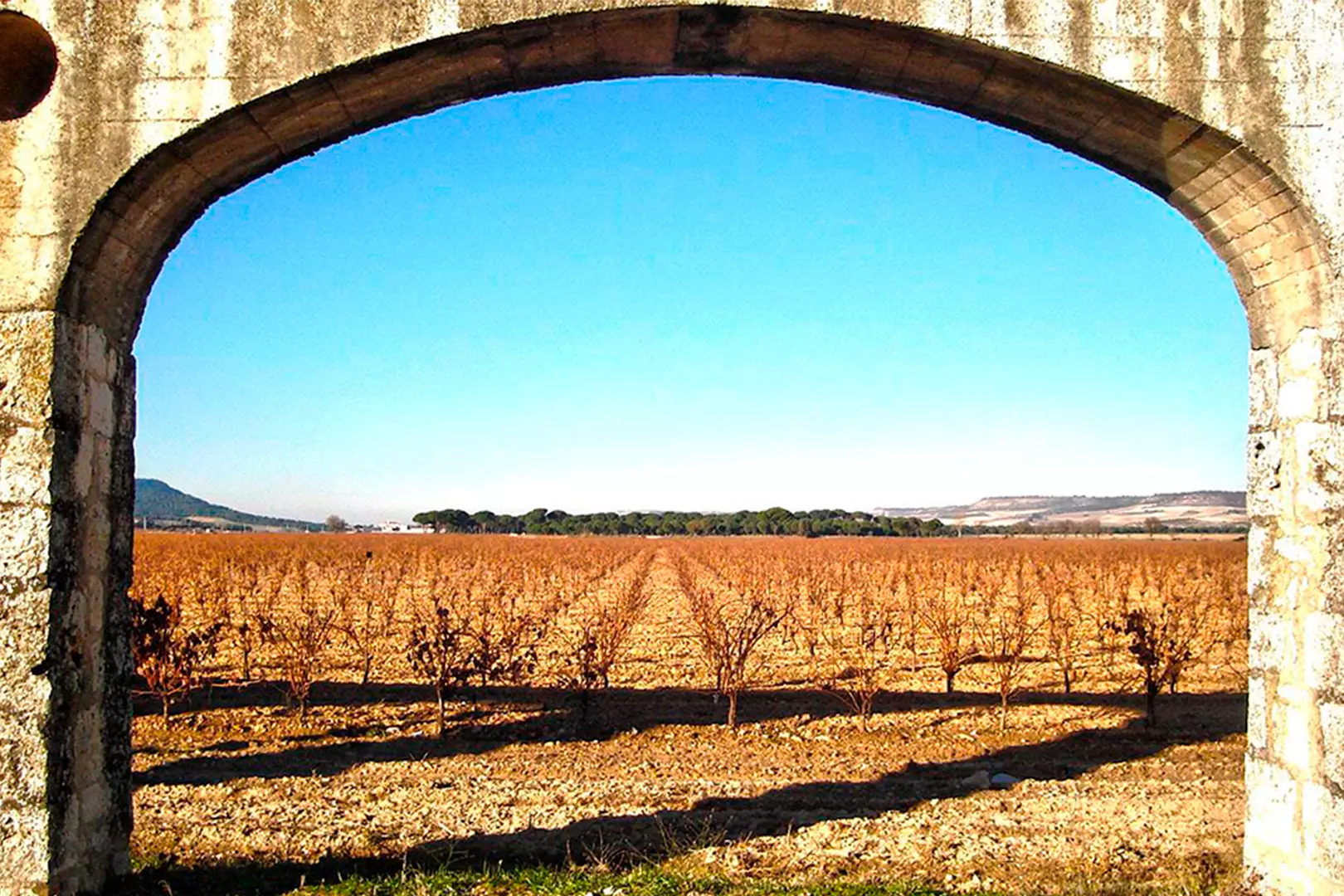 Ampliación de EDAR bodega Ribera del Duero