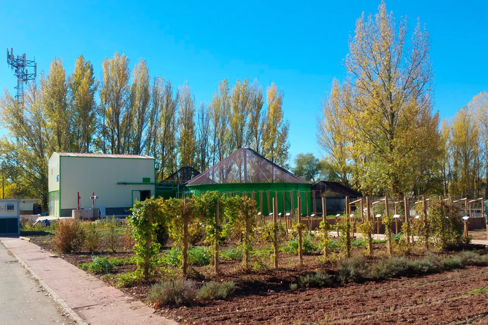 Construcción de EDAR en empresa de cultivos biológicos y procesamiento de productos naturales